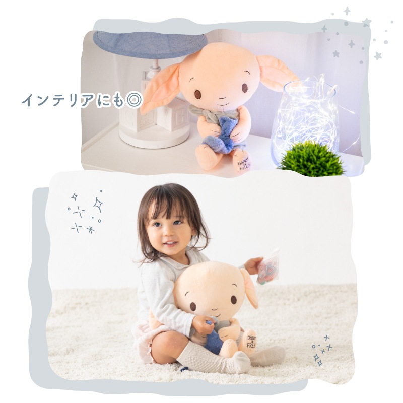 ȯ䵭ǰָ ̵ۥϥ꡼ݥå ̤ߡʥɥӡ HarryPotter