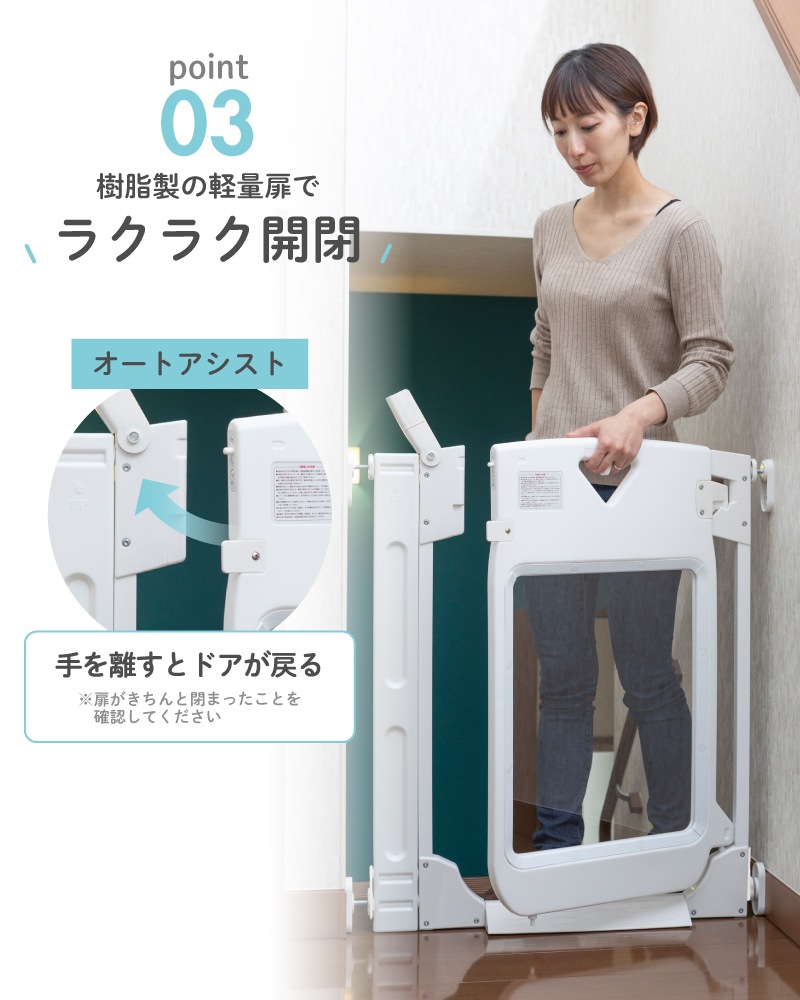 ���ܰ�� ���ޡ��ȥ����� �ץ�ߥ��� ���ꥢ ����