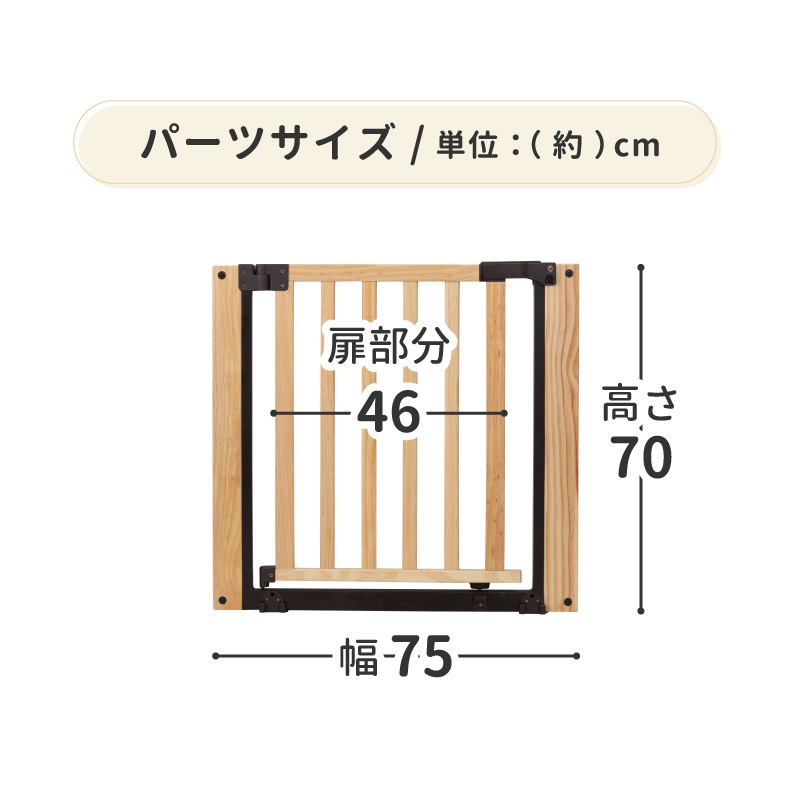 ܰ ѡơFLEXѥɥѥͥ(ñ)1