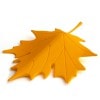 クオリー QUALY オータムドアストッパー イエロー 黄 AUTUMN Door Stopper|QUALY クオリー