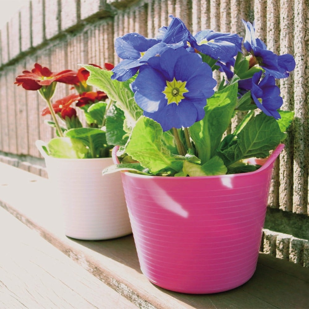 5�ĥ��å� ���֥ȥ�å��� �ޥ��������� �ԥ� ���� ������ �Х��� FAULKS&COX