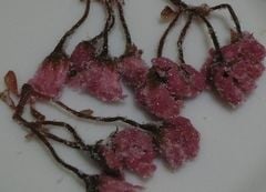 ���β� 30g (���Ҥ�) ������� �²ۻҺ���