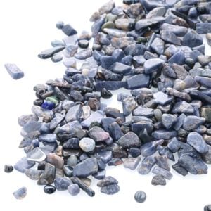 ���ե���������������å� 100g �ھ��������ͥ륮�����㡼���ˡ�