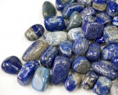 ԥ饺 ֥ (̥ 100g ھͥ륮㡼ˡ