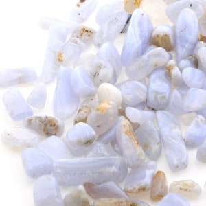 ֥롼졼Υ å 100g ھͥ륮㡼ˡ