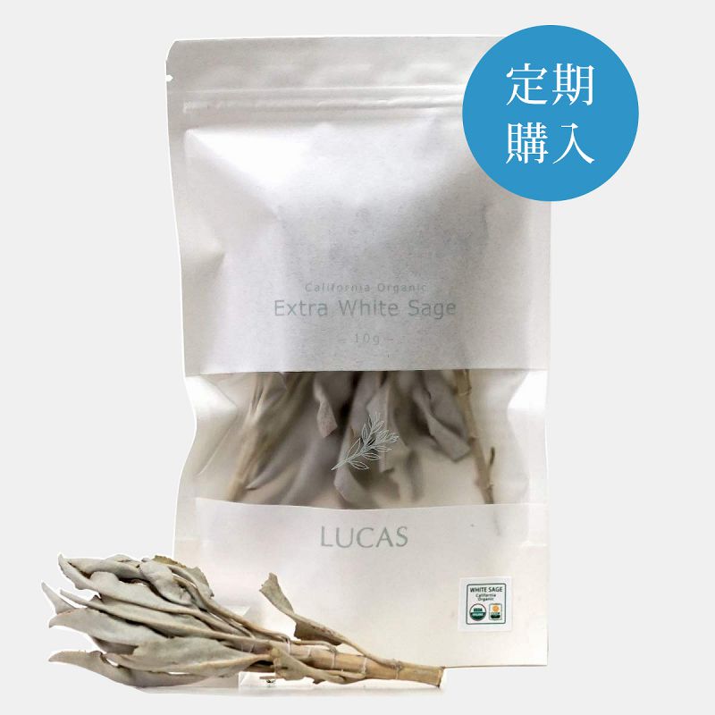 ��������Ϥ��������ۥۥ磻�ȥ����� 10g �ʥ���ե���˥�ľ͢�����������˥å���LUCAS