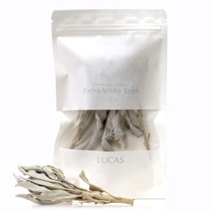 ȥ顦ۥ磻ȥ ڥƥȥХҲ