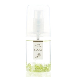 饹ץ졼 ݥåȥ륫ڥƥȥХҲ