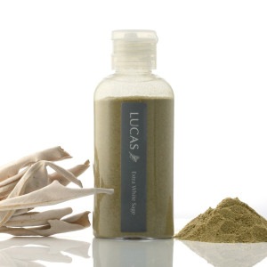 ۥ磻ȥ100%  ʴᡦɹ 20gڥƥȥХҲ