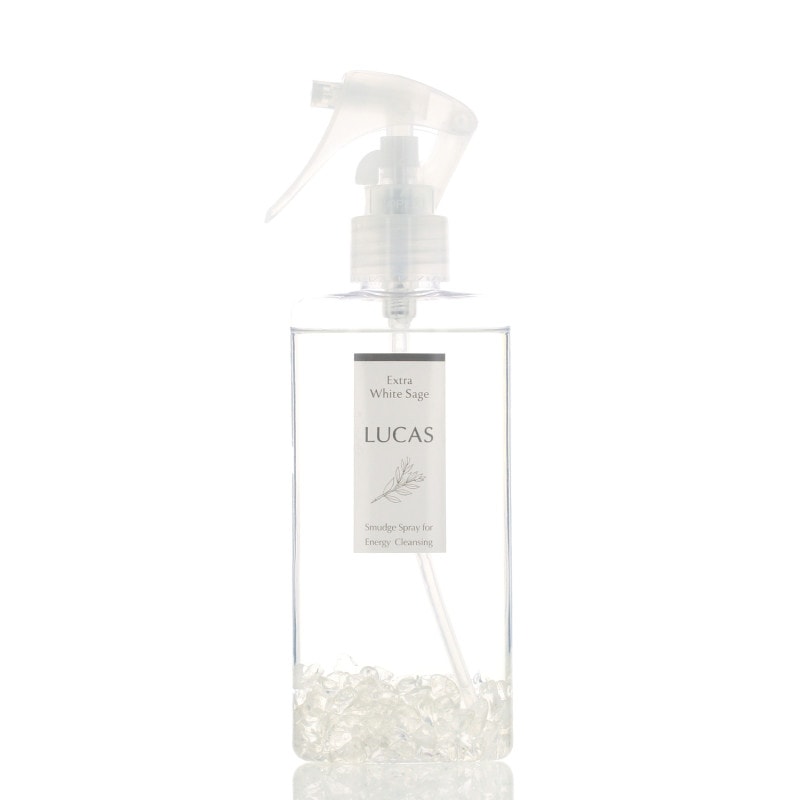 �ۥ磻�ȥ����� �������ץ졼 ���󥿥���  130ml ���ٹ�ͭ���Ҥ��������