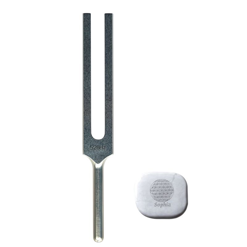 襬ѡ塼ʡ [DNAν528Hz]ٹͭҤ