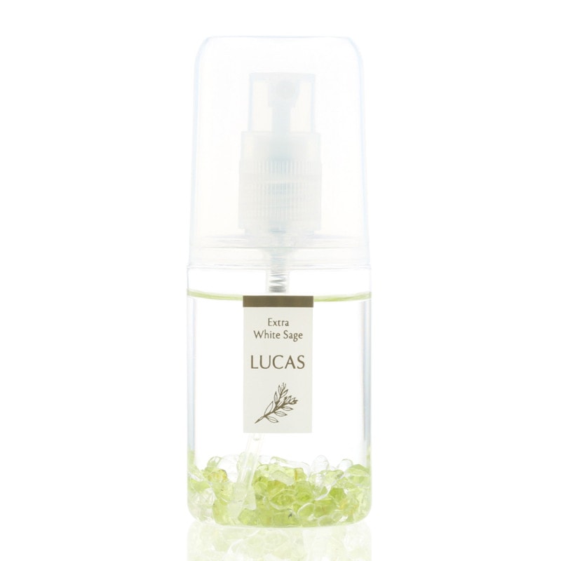 �����饹�ץ졼 �ݥ��åȥ륫���ڤ��ޤ�餪�������