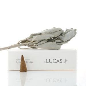 �ۥ磻�ȥ����� ������ �ʥ����󥿥��� 20������ŷ����ʬ100%�Τ���� LUCAS �륫��