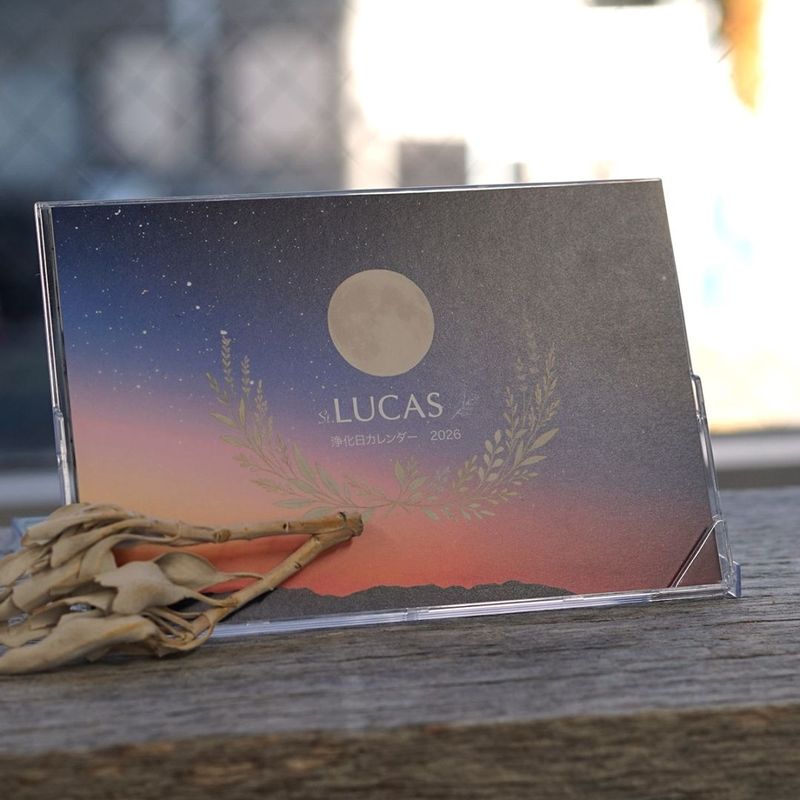 ��������������2026���ץ쥼��ȥ����ڡ��󳫺��桪�ڿ��̸����