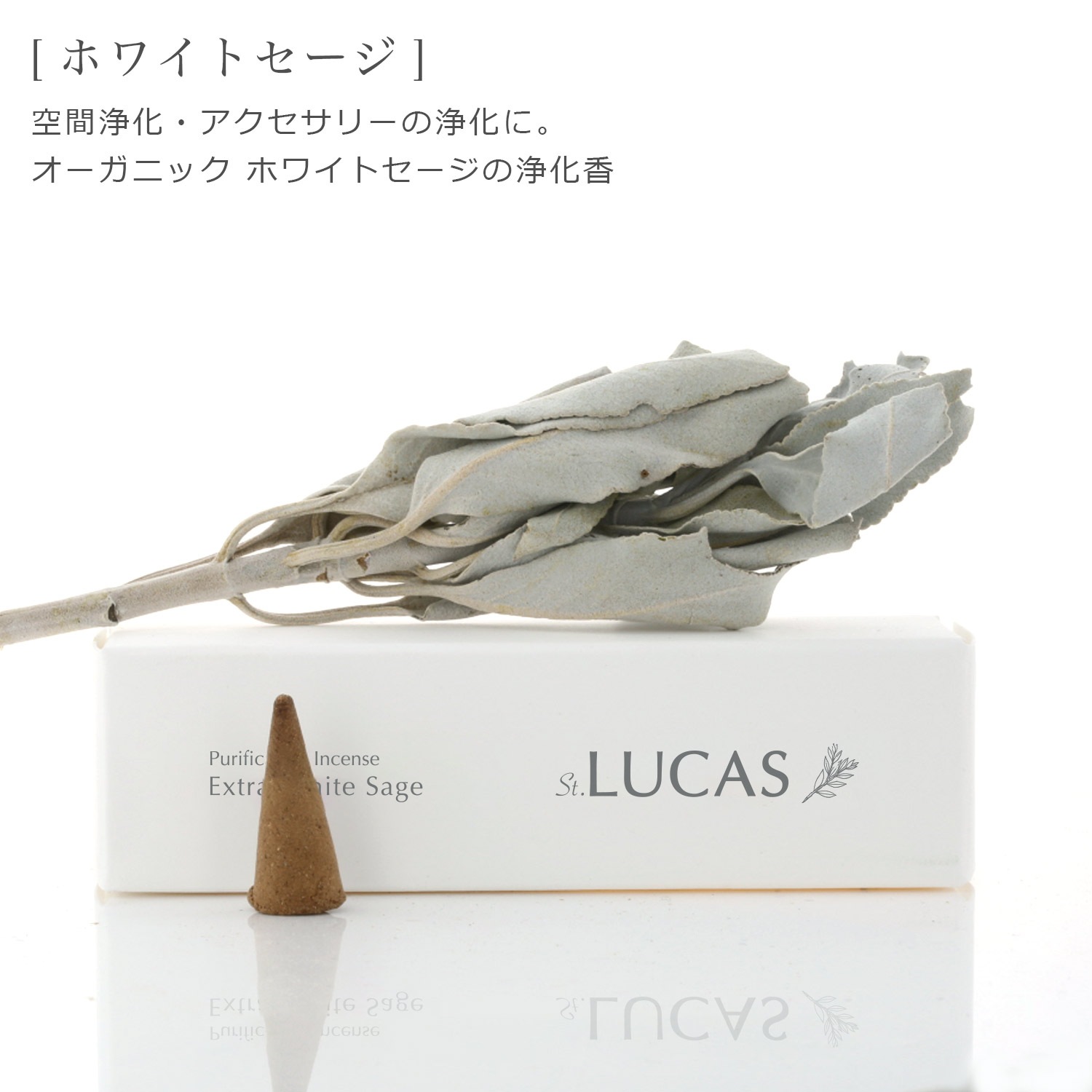 �ۥ磻�ȥ����� ������ �ʥ����󥿥��� 20������ŷ����ʬ100%�Τ���� LUCAS �륫��