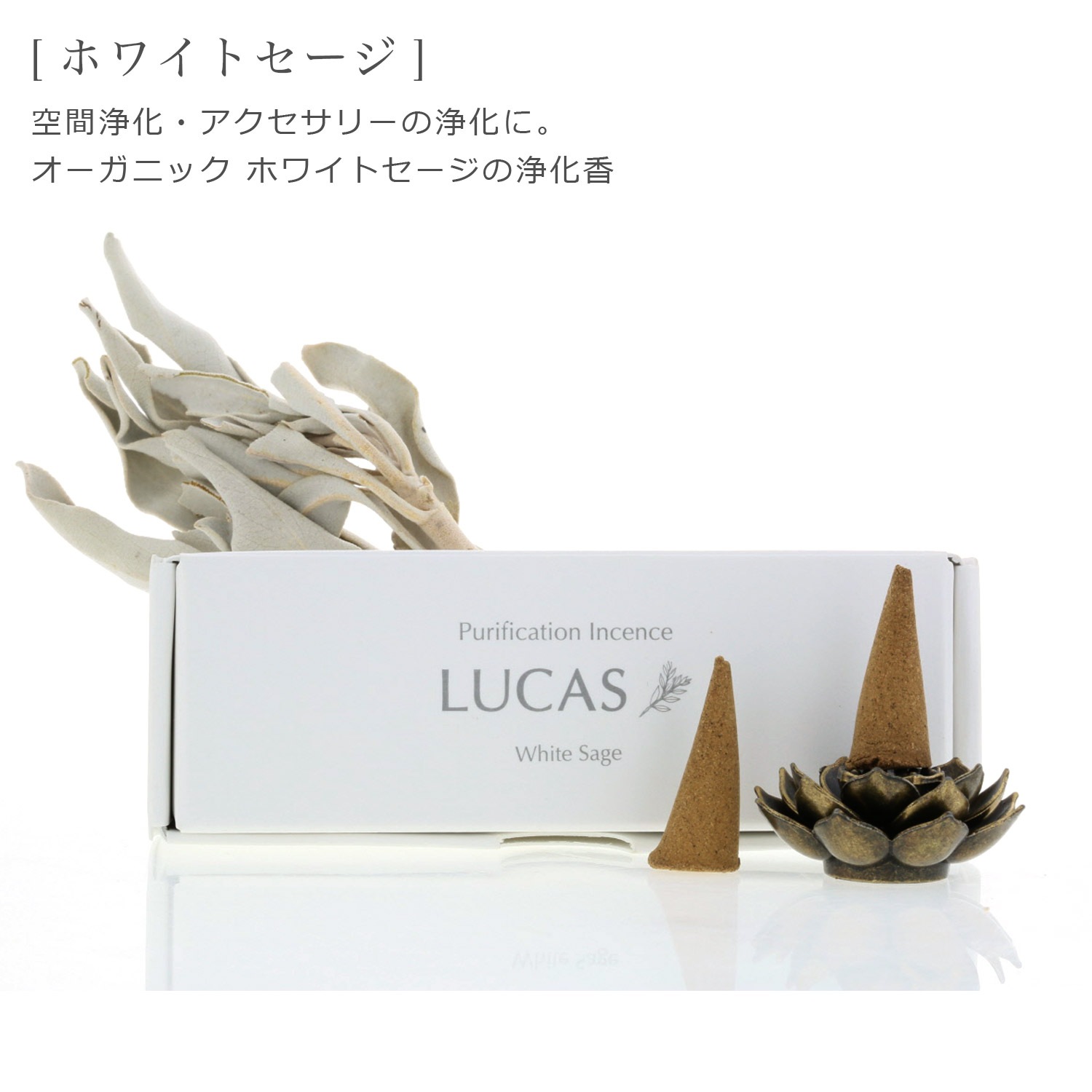 ��NEW�ۥۥ磻�ȥ����� ������ �ʥ����󥿥��� 20������ŷ����ʬ100%�Τ���� LUCAS �륫��