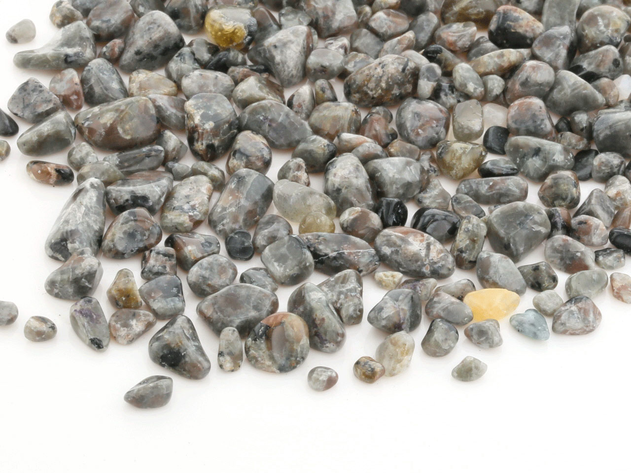 �桼�ѡ��饤��  ��������å� 100g �ھ��������ͥ륮�����㡼���ˡ�