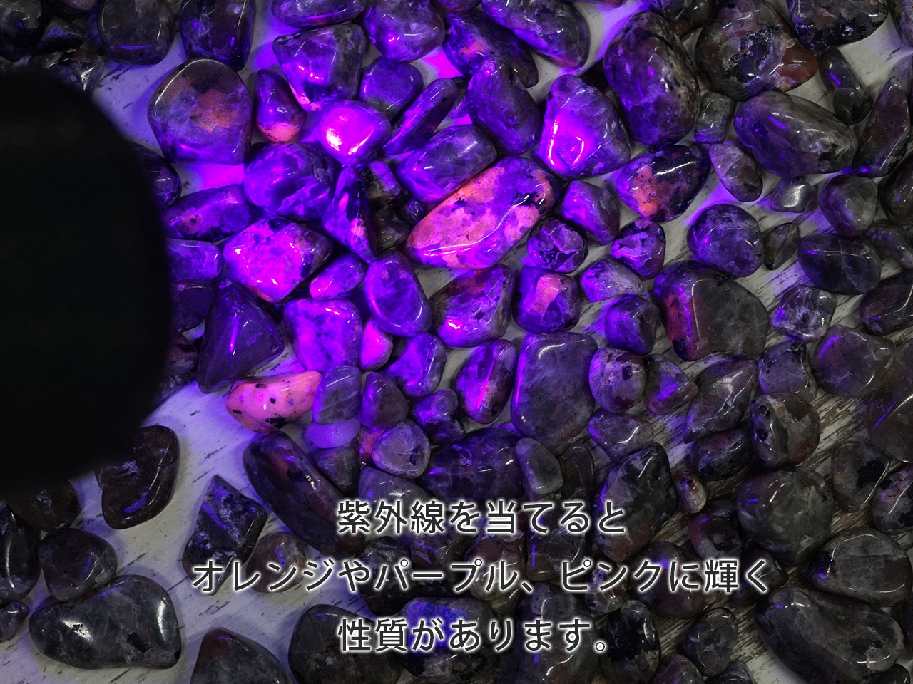 �桼�ѡ��饤��  ��������å� 100g �ھ��������ͥ륮�����㡼���ˡ�