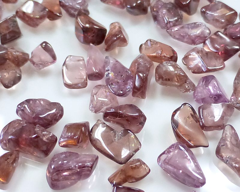 �����ͥå� ��������å� (S�������� 100g �ھ��������ͥ륮�����㡼���ˡ�