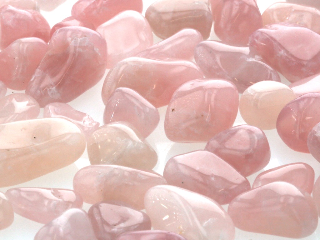  å (M 100g ھͥ륮㡼ˡ