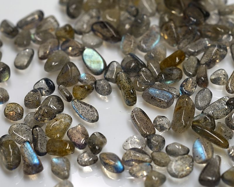 ��֥�ɥ饤�� ��������å� 100g �ھ��������ͥ륮�����㡼���ˡ�