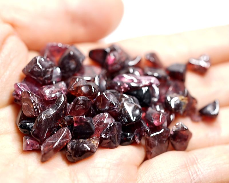 �����ͥå� ��������å� (M�������� 100g �ھ��������ͥ륮�����㡼���ˡ�