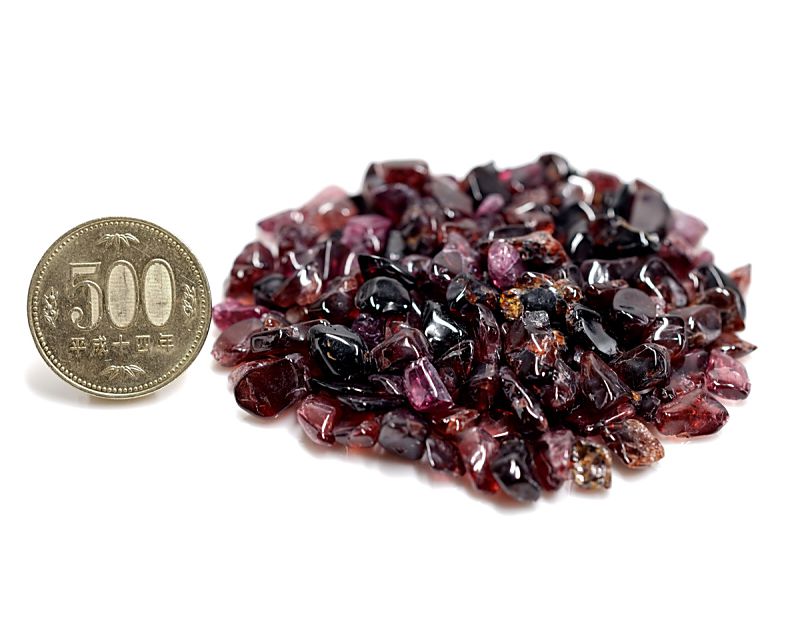 �����ͥå� ��������å� (M�������� 100g �ھ��������ͥ륮�����㡼���ˡ�