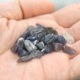 �������饤�� ��������å� 100g �ھ��������ͥ륮�����㡼���ˡ�