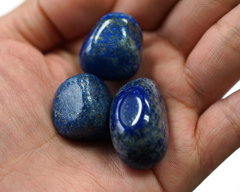 ��ԥ��饺��������� ����֥� (�̥������� 100g �ھ��������ͥ륮�����㡼���ˡ�