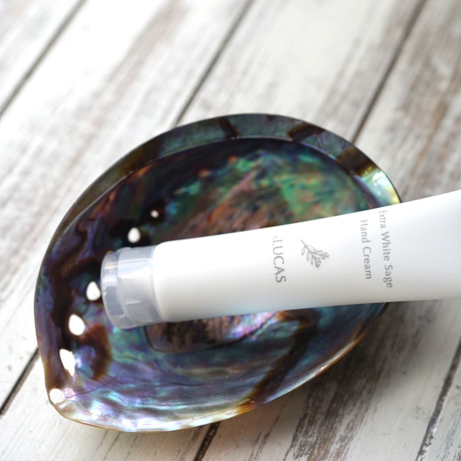 �������ȥ顦�ۥ磻�ȥ����� �ϥ�ɥ��꡼���ŷ��ͳ����ʬ100%�ۥ�˥塼����