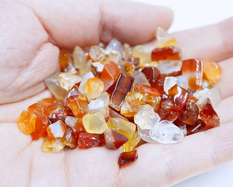 �����ͥꥢ�󡡤�������å� Type1 100g �ھ��������ͥ륮�����㡼���ˡ�