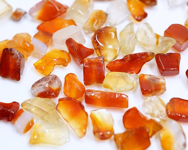 �����ͥꥢ�󡡤�������å� Type1 100g �ھ��������ͥ륮�����㡼���ˡ�