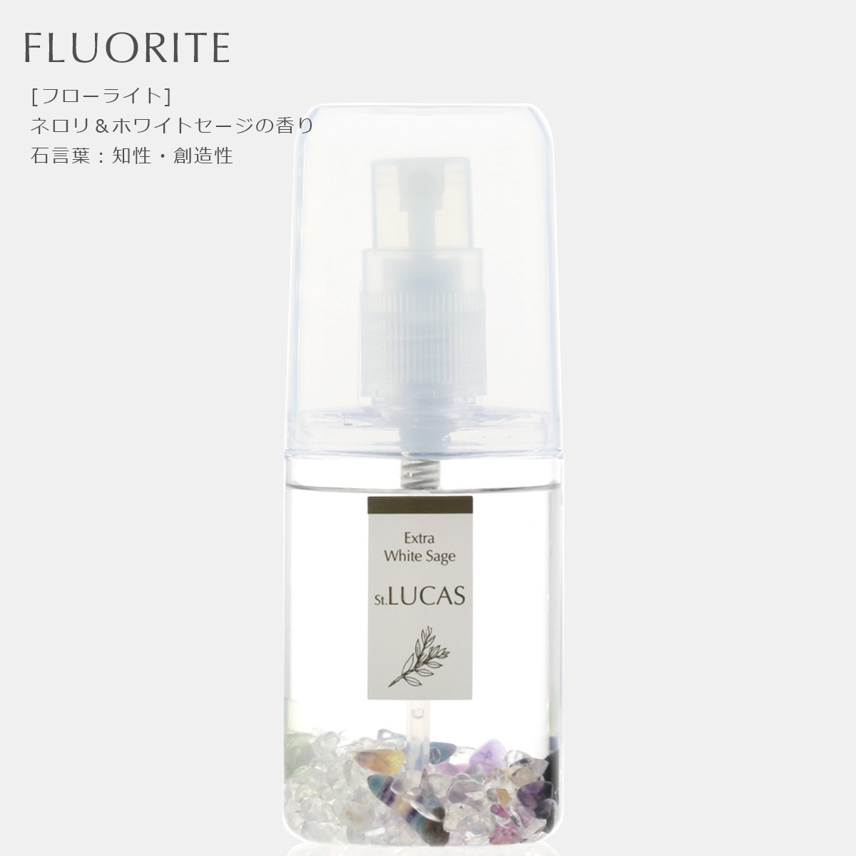 ۥ磻ȥ ץ졼 륫 ݥåȥ  ŷͳʬ100% ۥ磻ȥŷФμऴȤ6ι