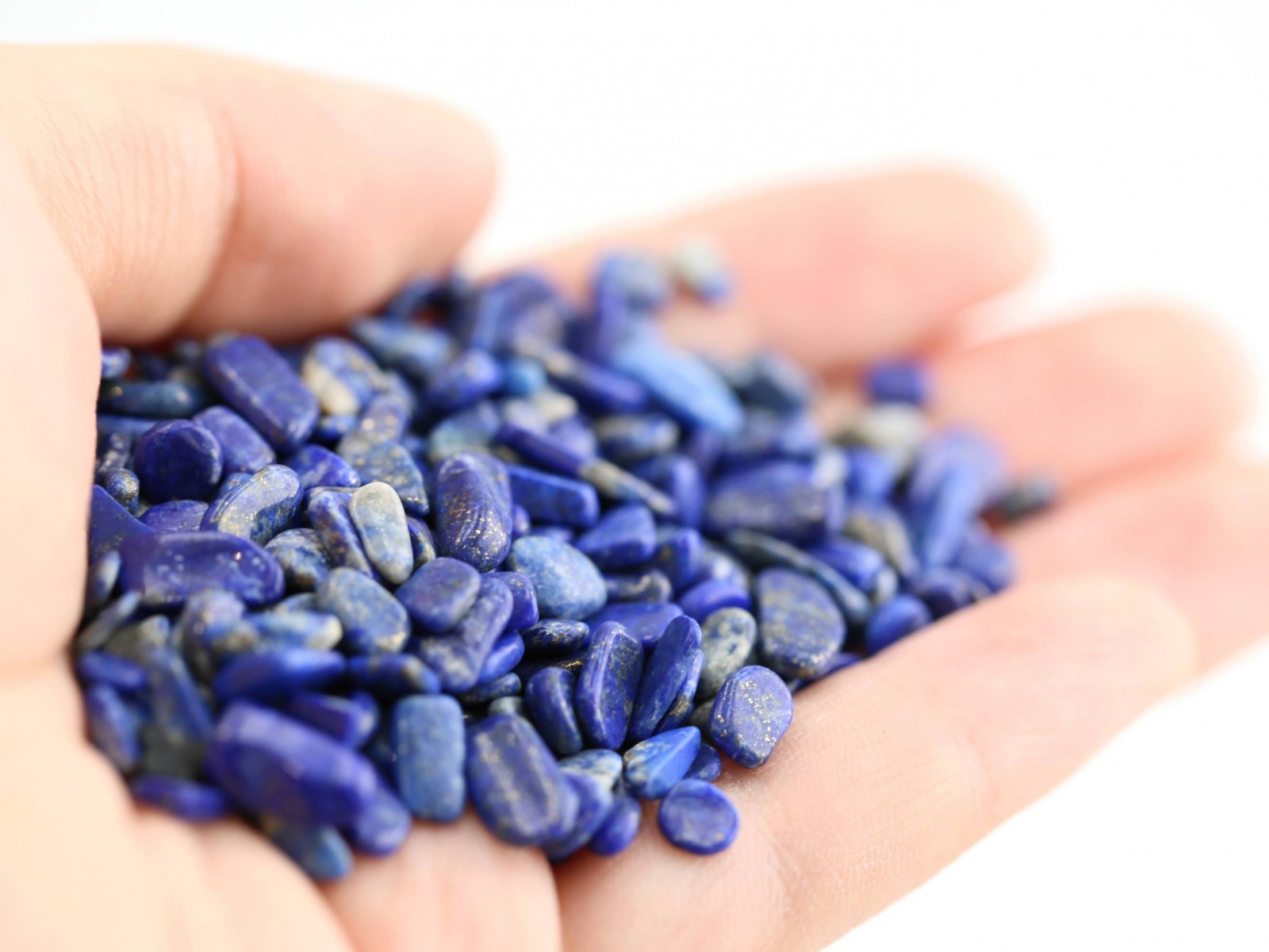 ��ԥ��饺��������� ��������å� (S�������� 100g �ھ��������ͥ륮�����㡼���ˡ�