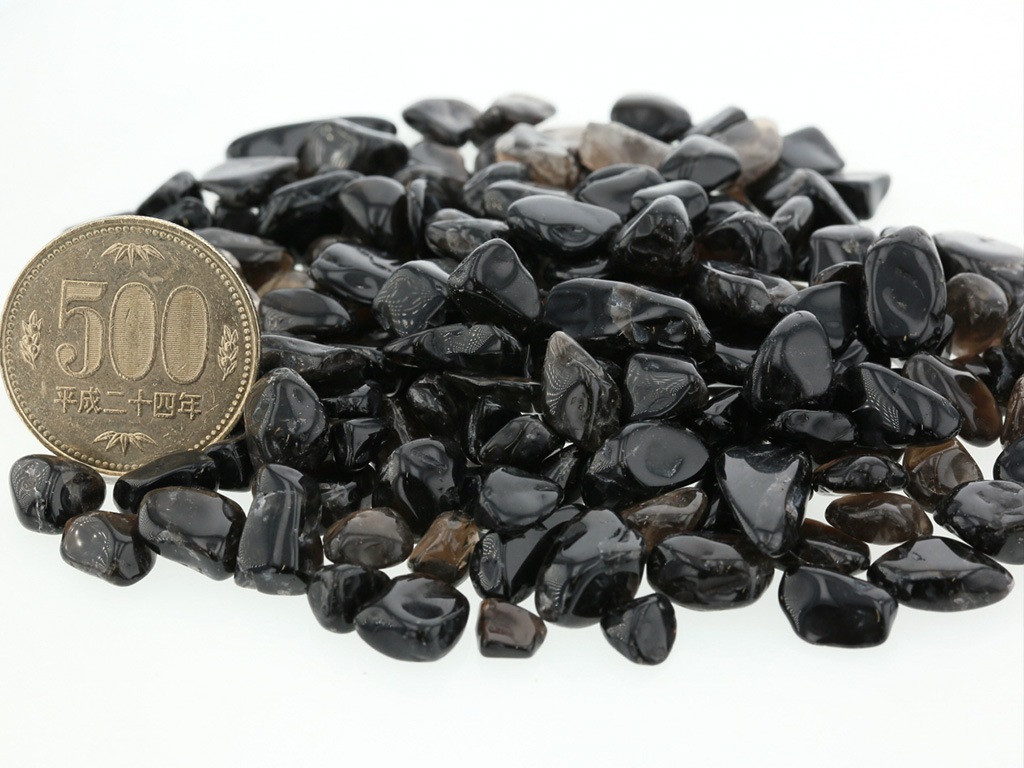 ���徽 ��������å� (L�������� 100g �ھ��������ͥ륮�����㡼���ˡ�