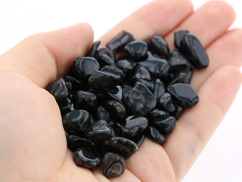 ���徽 ��������å� (L�������� 100g �ھ��������ͥ륮�����㡼���ˡ�