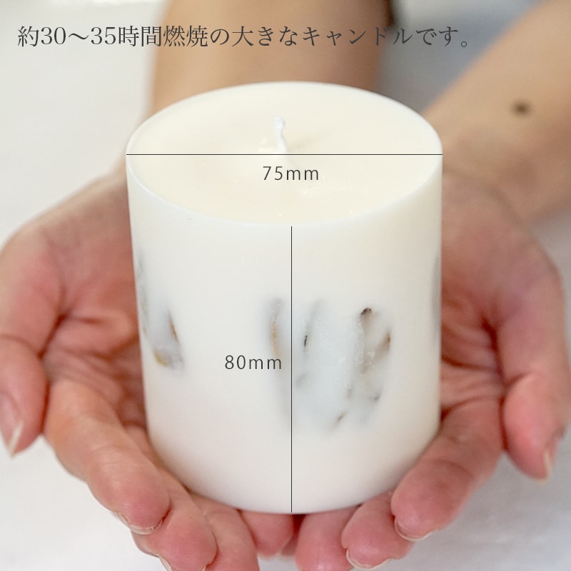 �ۥ磻�ȥ������꡼�� ���������ɥ�  ��ŷ��ͳ����ʬ100% ������������ �����ɥ�� LUCAS �륫��