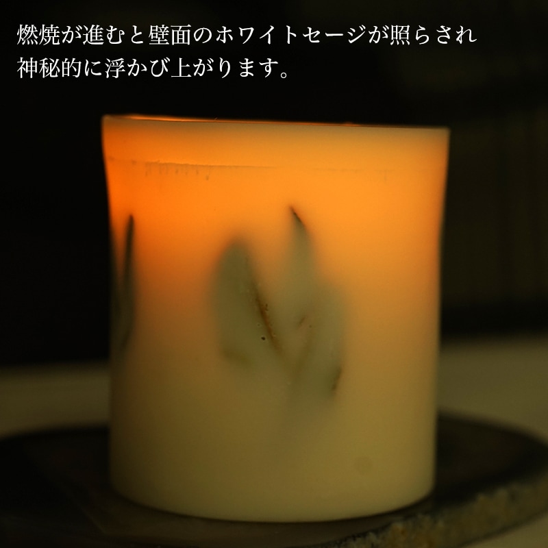 �ۥ磻�ȥ������꡼�� ���������ɥ�  ��ŷ��ͳ����ʬ100% ������������ �����ɥ�� LUCAS �륫��