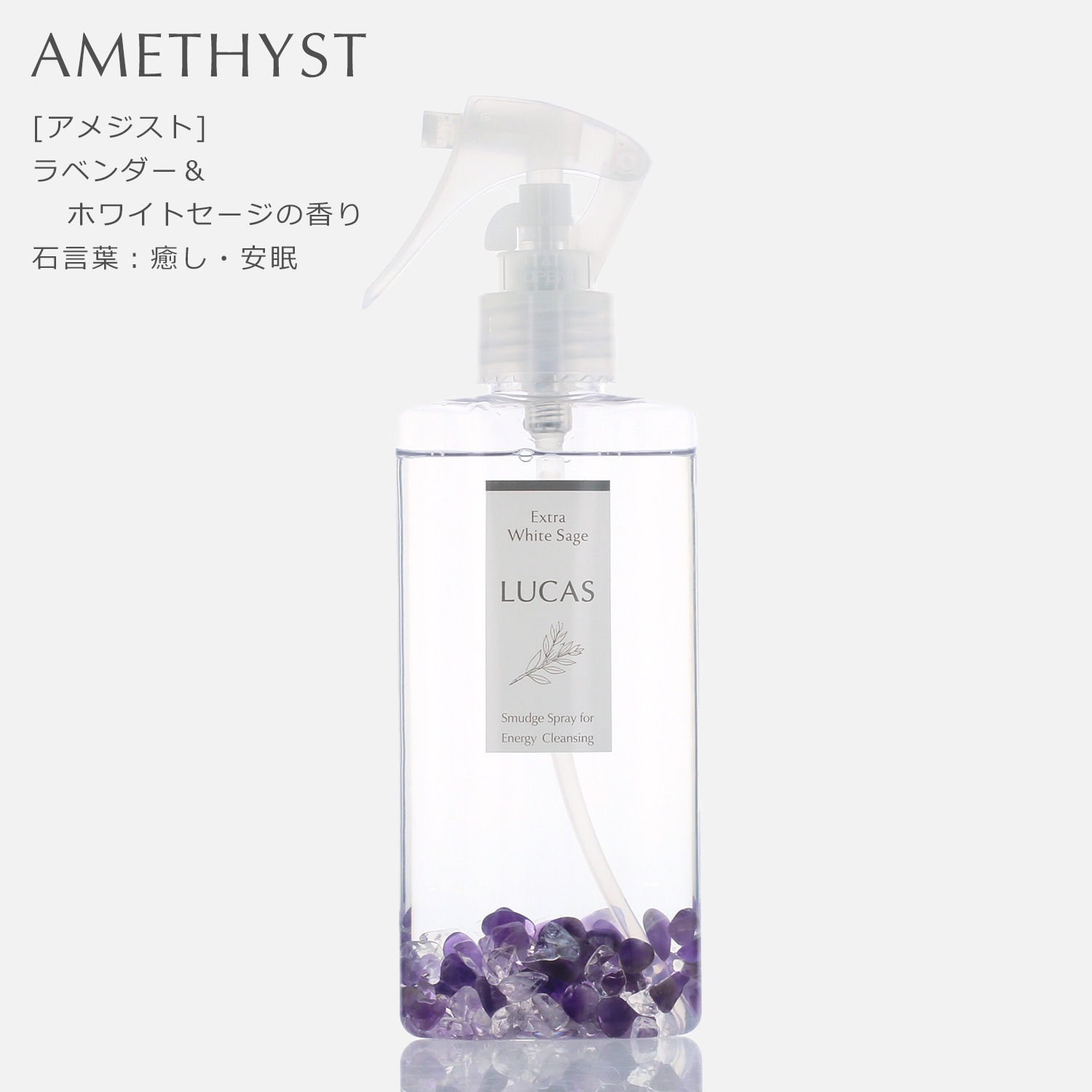 ۥ磻ȥ ץ졼 󥿥  130ml ŷͳʬ100% ۥ磻ȥŷФμऴȤ6ι