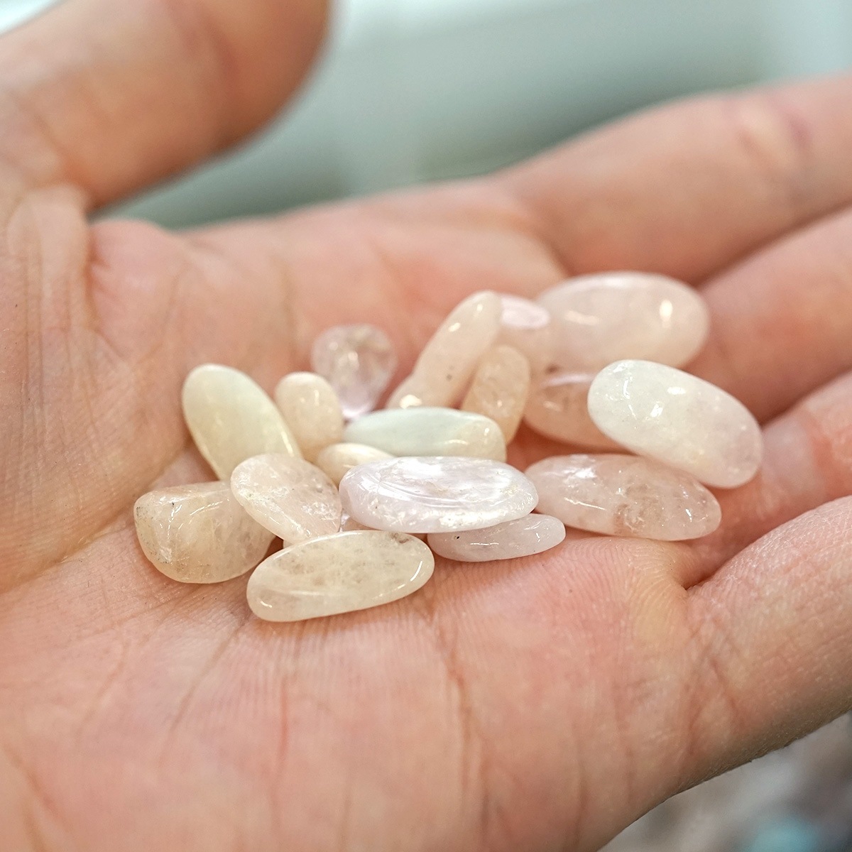 ��륬�ʥ��� ��������å� 100g �ھ��������ͥ륮�����㡼���ˡ�