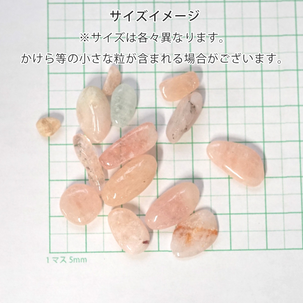 ��륬�ʥ��� ��������å� 100g �ھ��������ͥ륮�����㡼���ˡ�