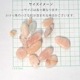��륬�ʥ��� ��������å� 100g �ھ��������ͥ륮�����㡼���ˡ�