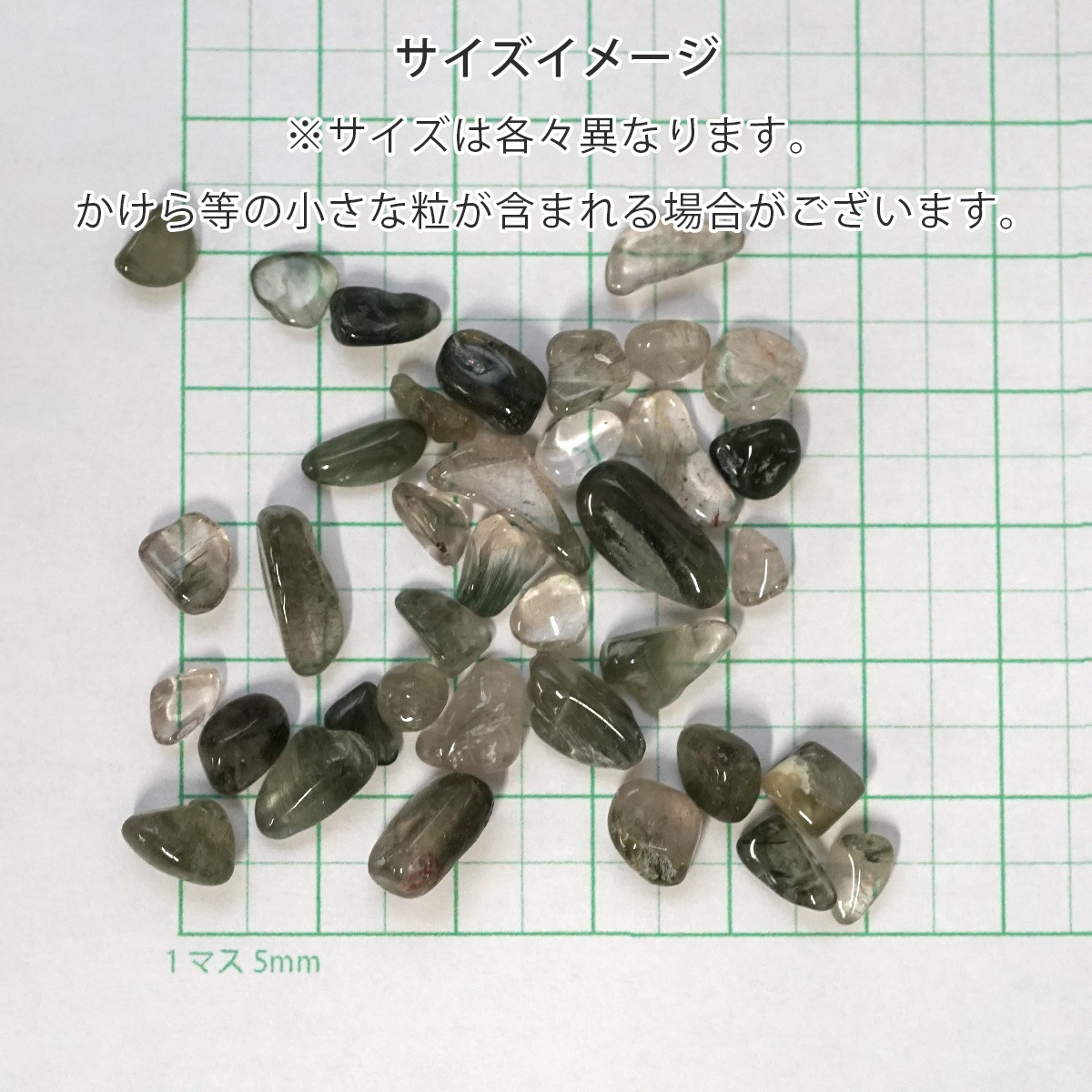 ���꡼������ʥ������Υ饤�ȡ� ��������å� 100g �ھ��������ͥ륮�����㡼���ˡ�