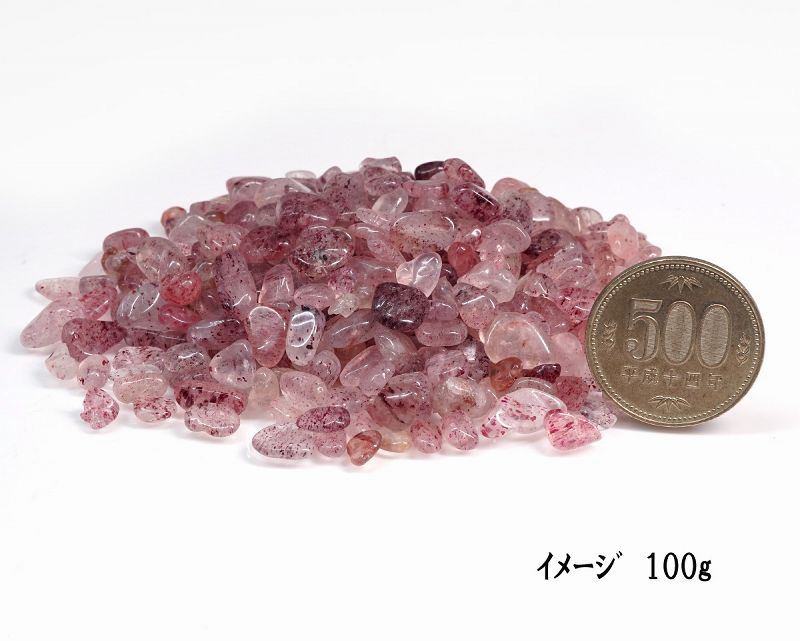 ���ȥ��٥꡼�������� ��������å� 100g �ھ��������ͥ륮�����㡼���ˡ�