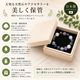 ��Ȣ  (����82��82��18mm)���񻺶͡���������