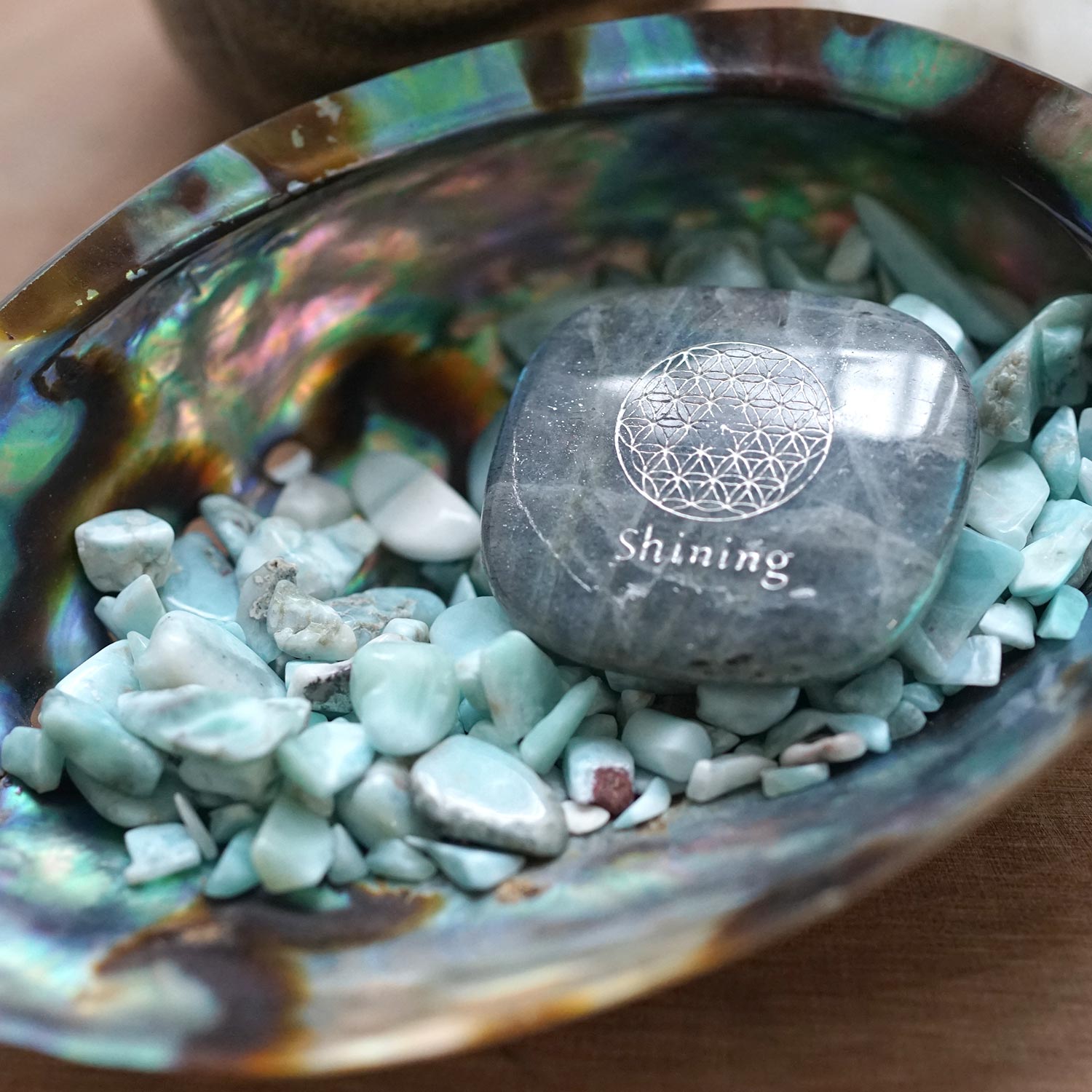 ���ޡ� ��������å� (M�������� 100g �ھ��������ͥ륮�����㡼���ˡ�