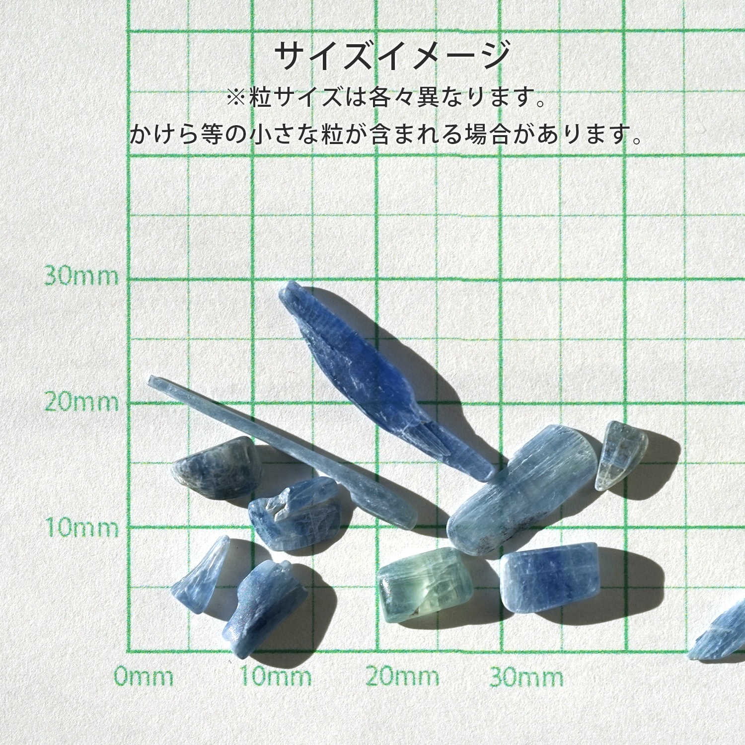 ������ʥ��� ��������å� 100g �ھ��������ͥ륮�����㡼���ˡ�