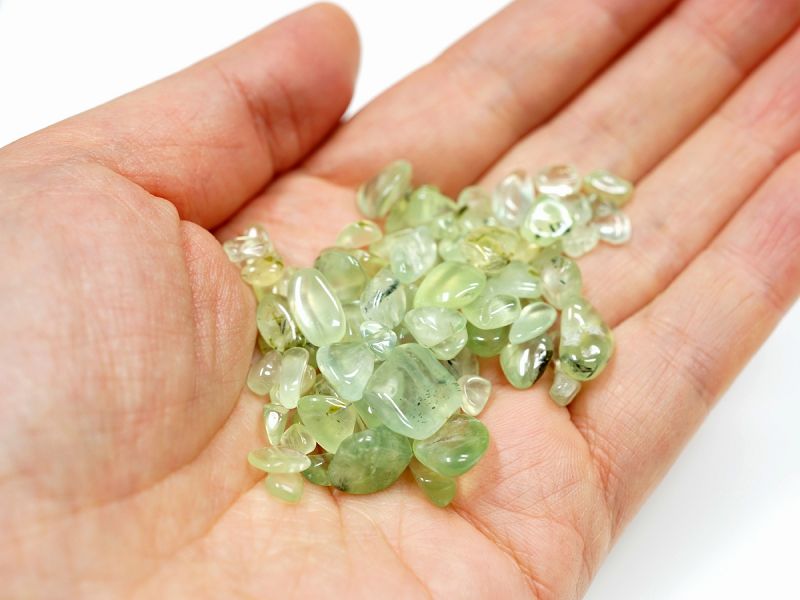 �ץ�ʥ��� ��������å� 100g �ھ��������ͥ륮�����㡼���ˡ�