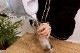 �ޥ��ܥȥ��ʤμ��Ȥߡ�LUCAS SDGs����mymizu���ݥåȤˤʤ�ޤ�����