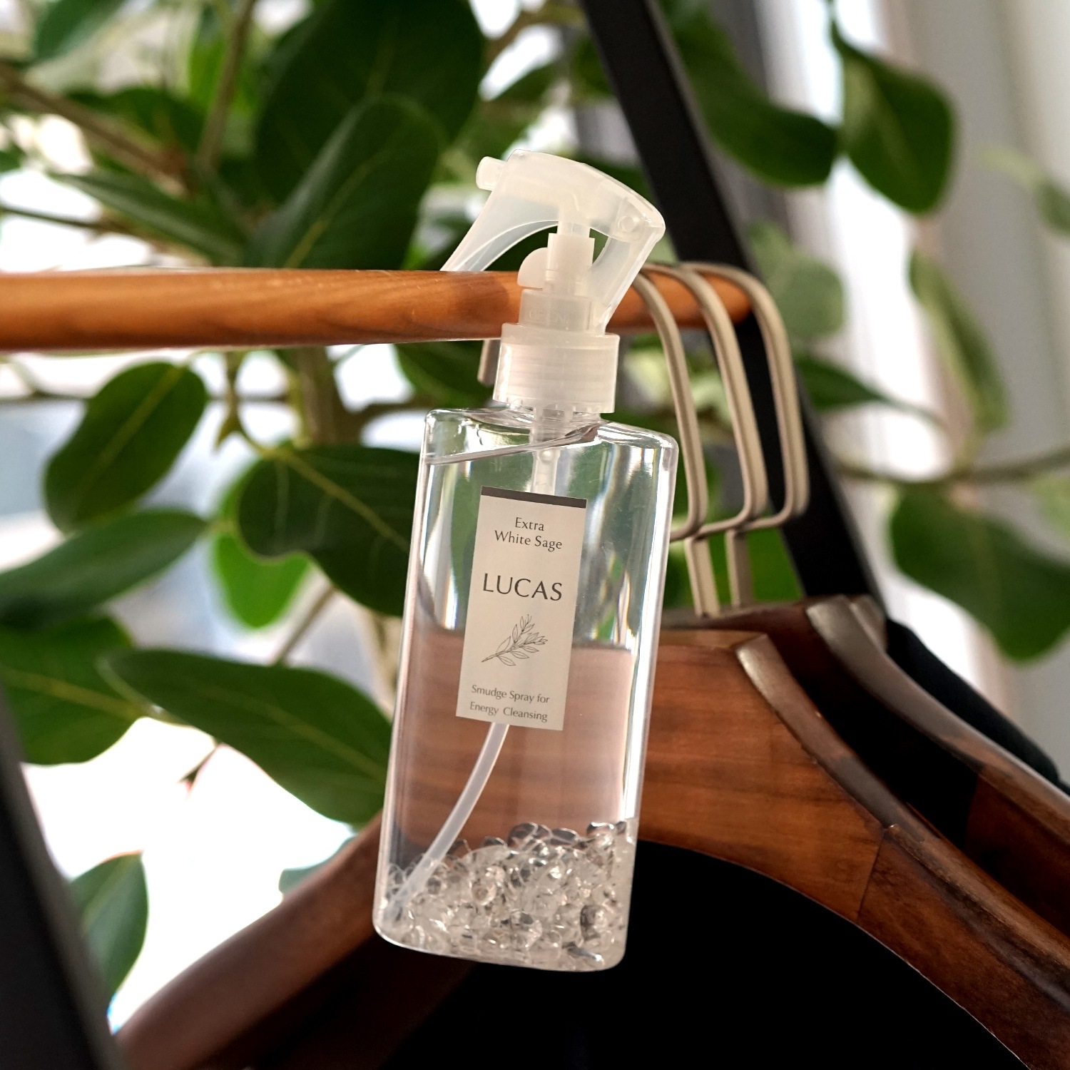 ۥ磻ȥ ץ졼 󥿥  130ml ڤޤ餪